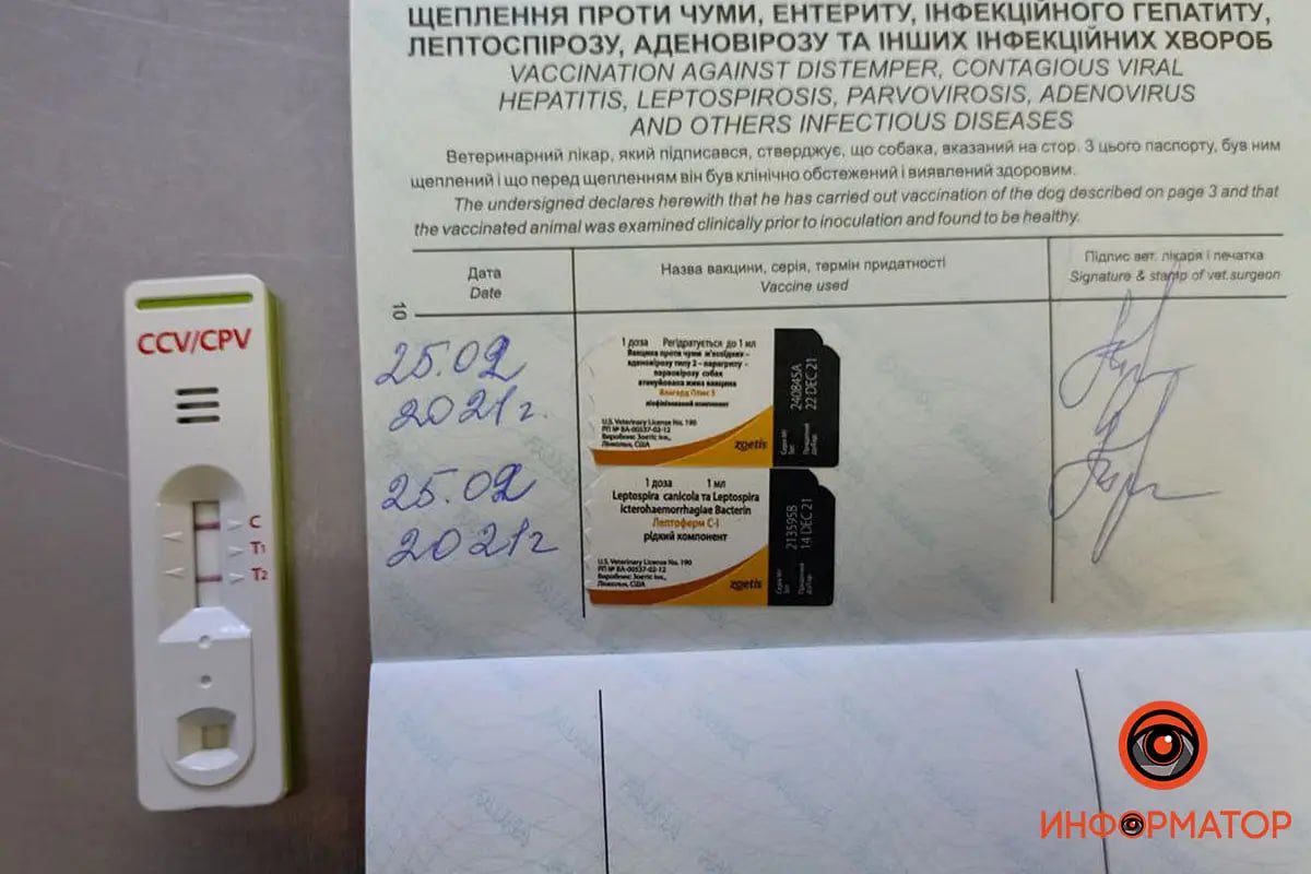 Цуценят довелося ревакцинувати