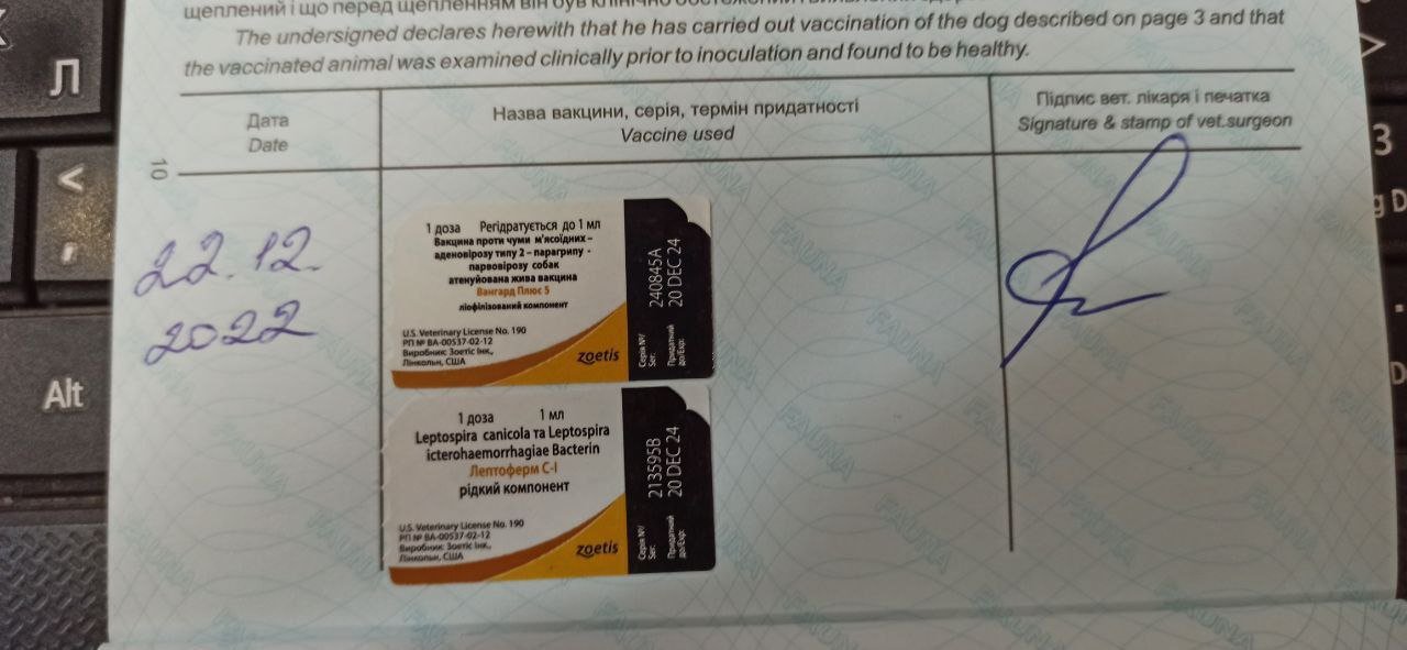 Знову та сама історія