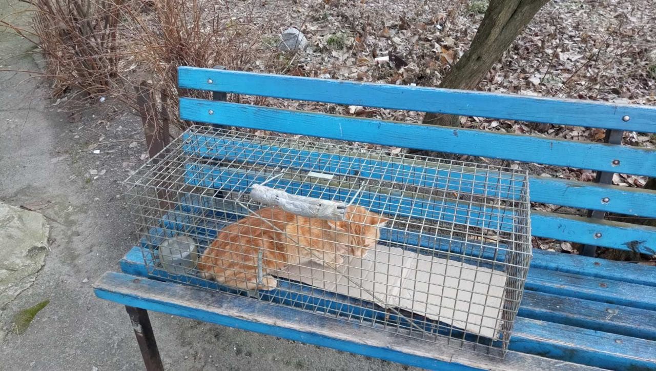 Потрібна допомога Потрібна допомога