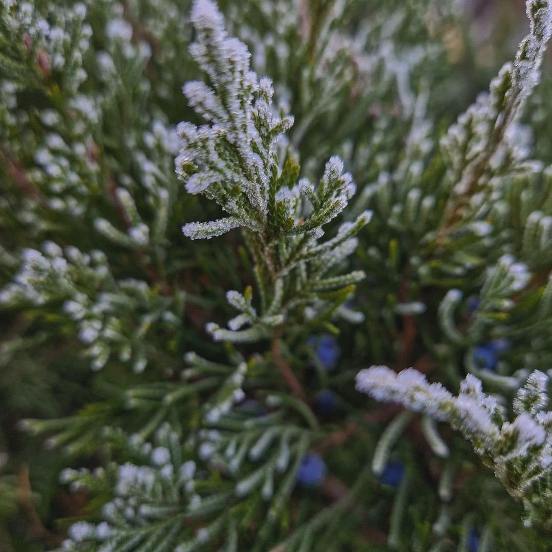 @amaaretto @amaaretto