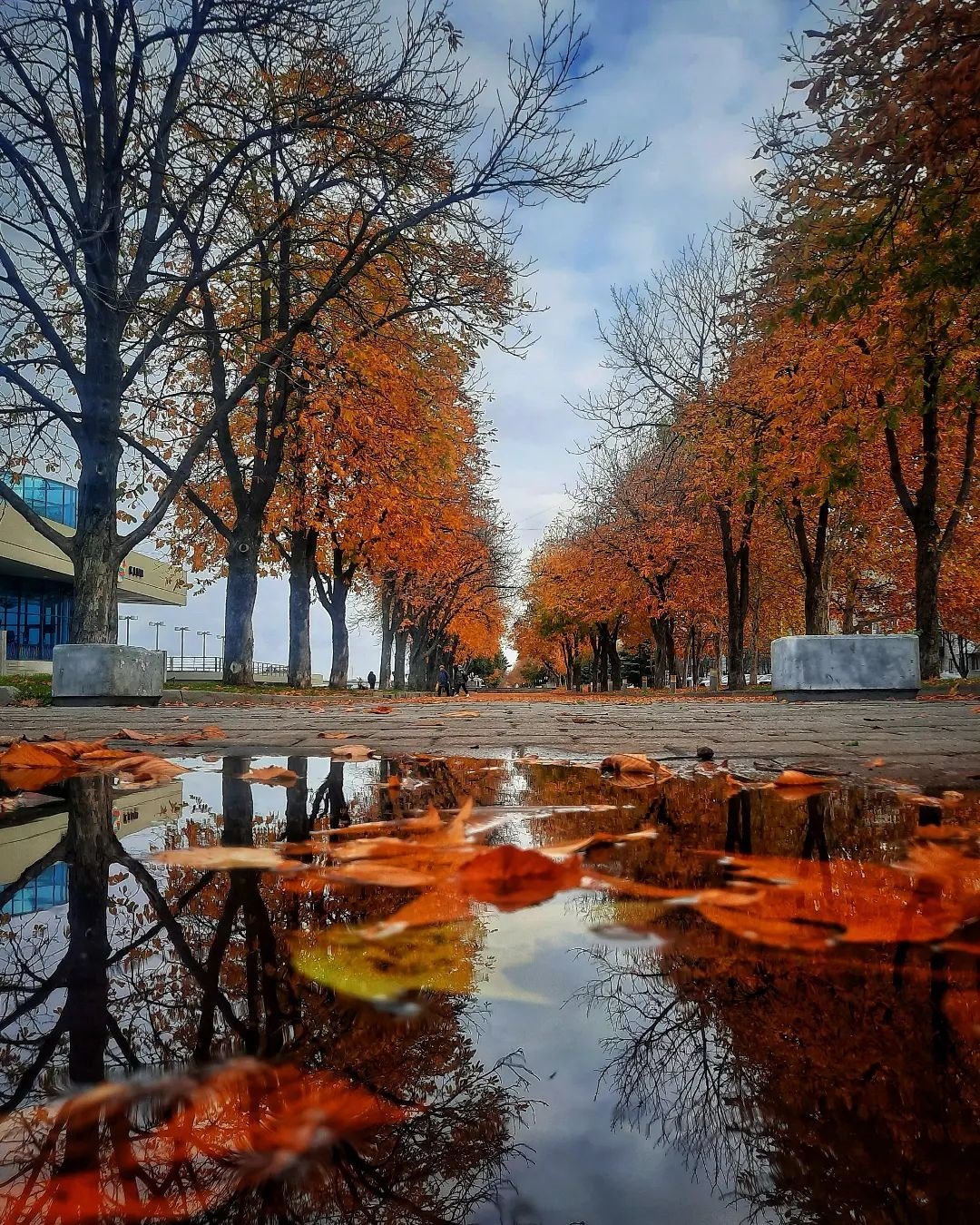 @photographer_andrey_moroz @photographer_andrey_moroz