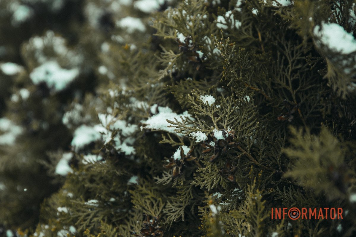 Згадуєш новорічний настрій Згадуєш новорічний настрій