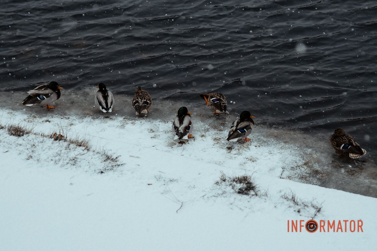 На березі На березі