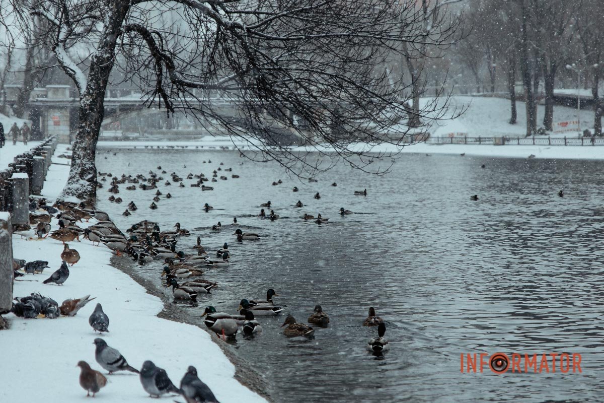 Яка природа красива Яка природа красива