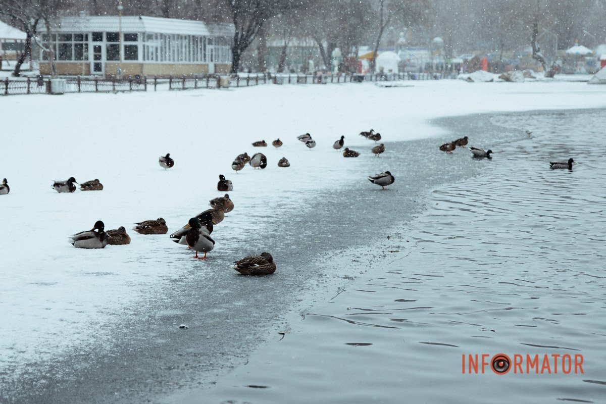 Аж на пляж захотілося Аж на пляж захотілося