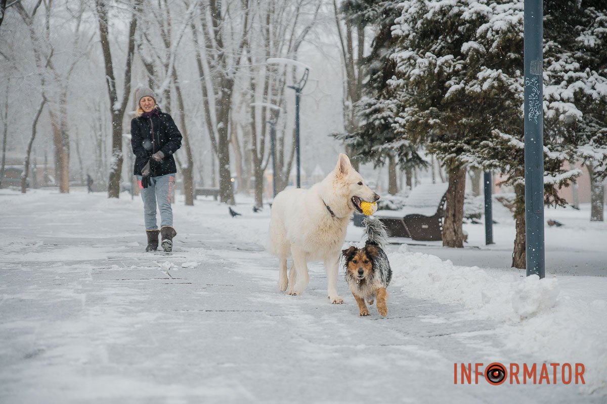 Два товариша