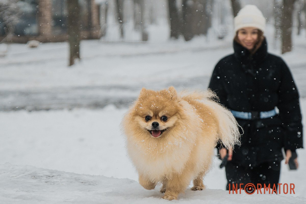 Який гарнюня