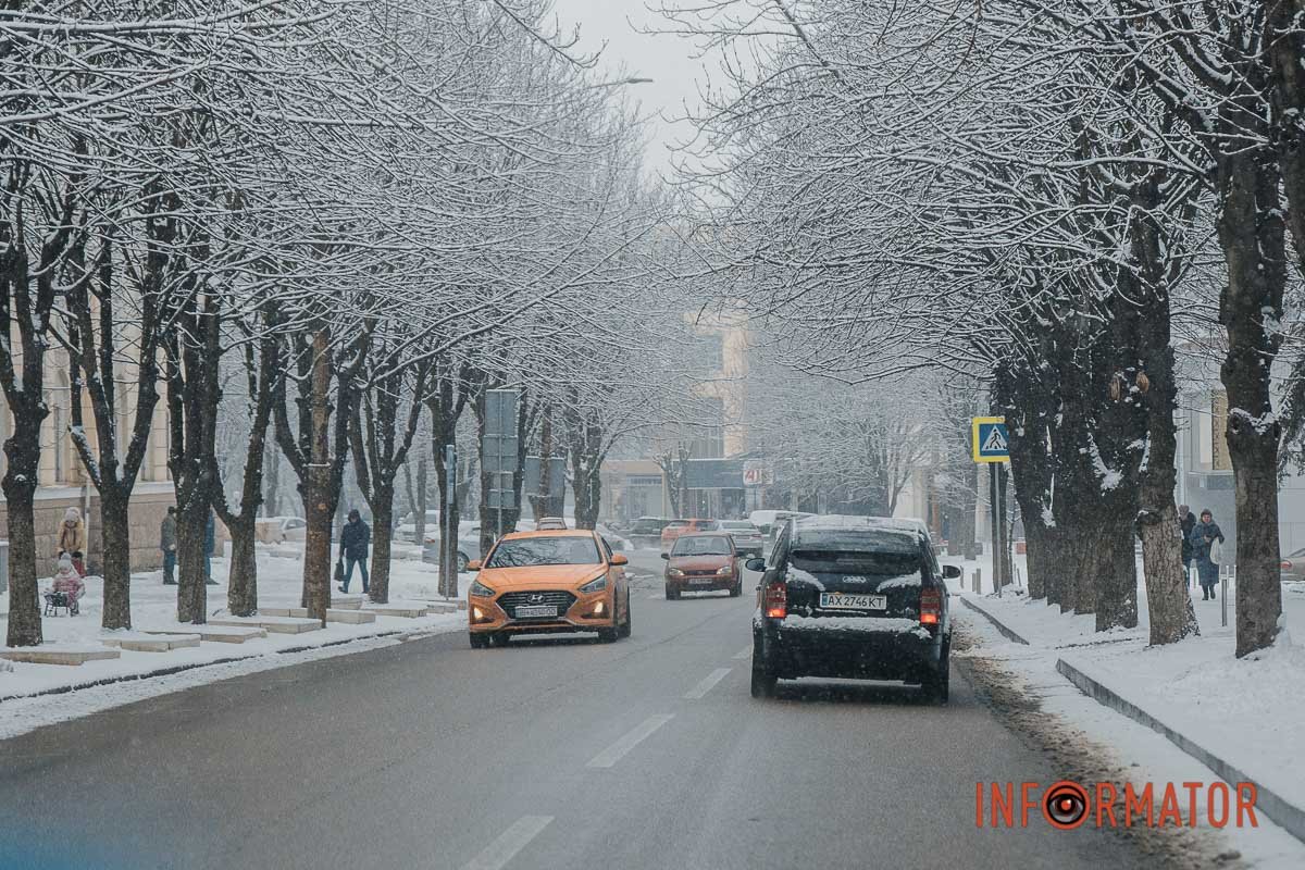 Інформатор не зміг пройти повз такої краси