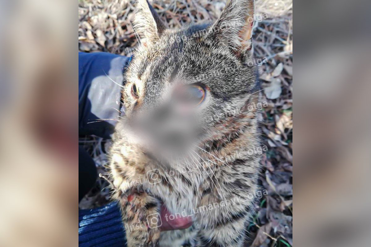 Операції є терміновими Операції є терміновими