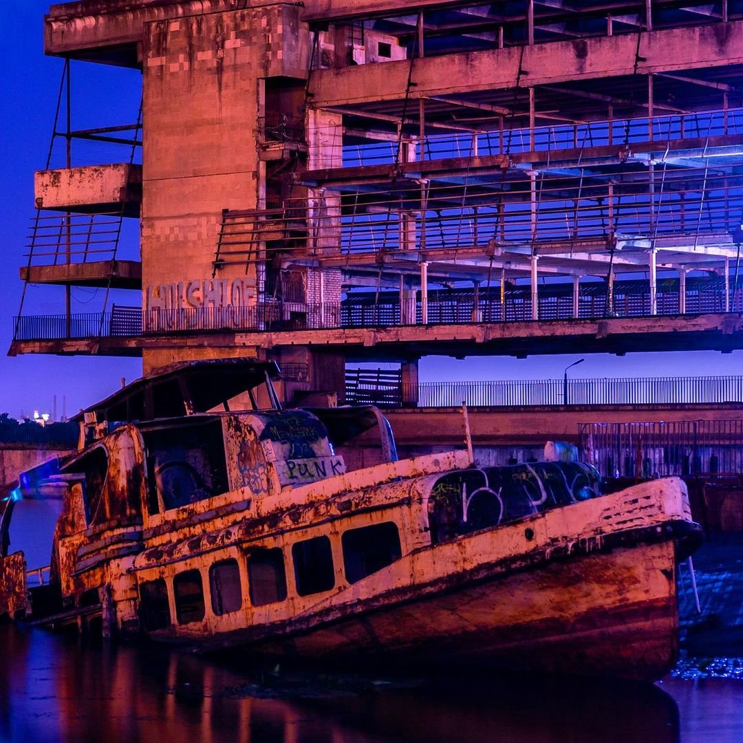 Фото: @hamster_dp_ua