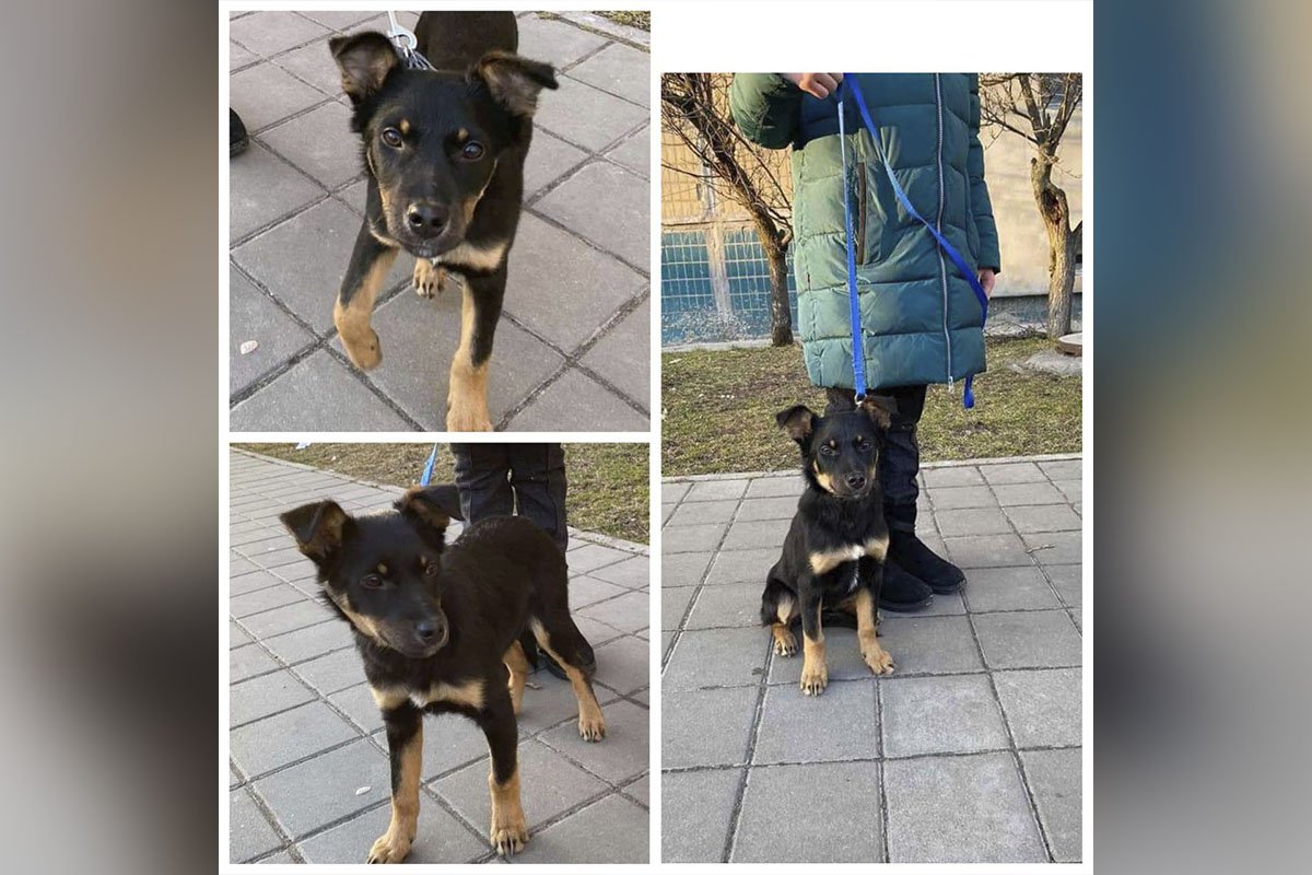 Красуня Красуня