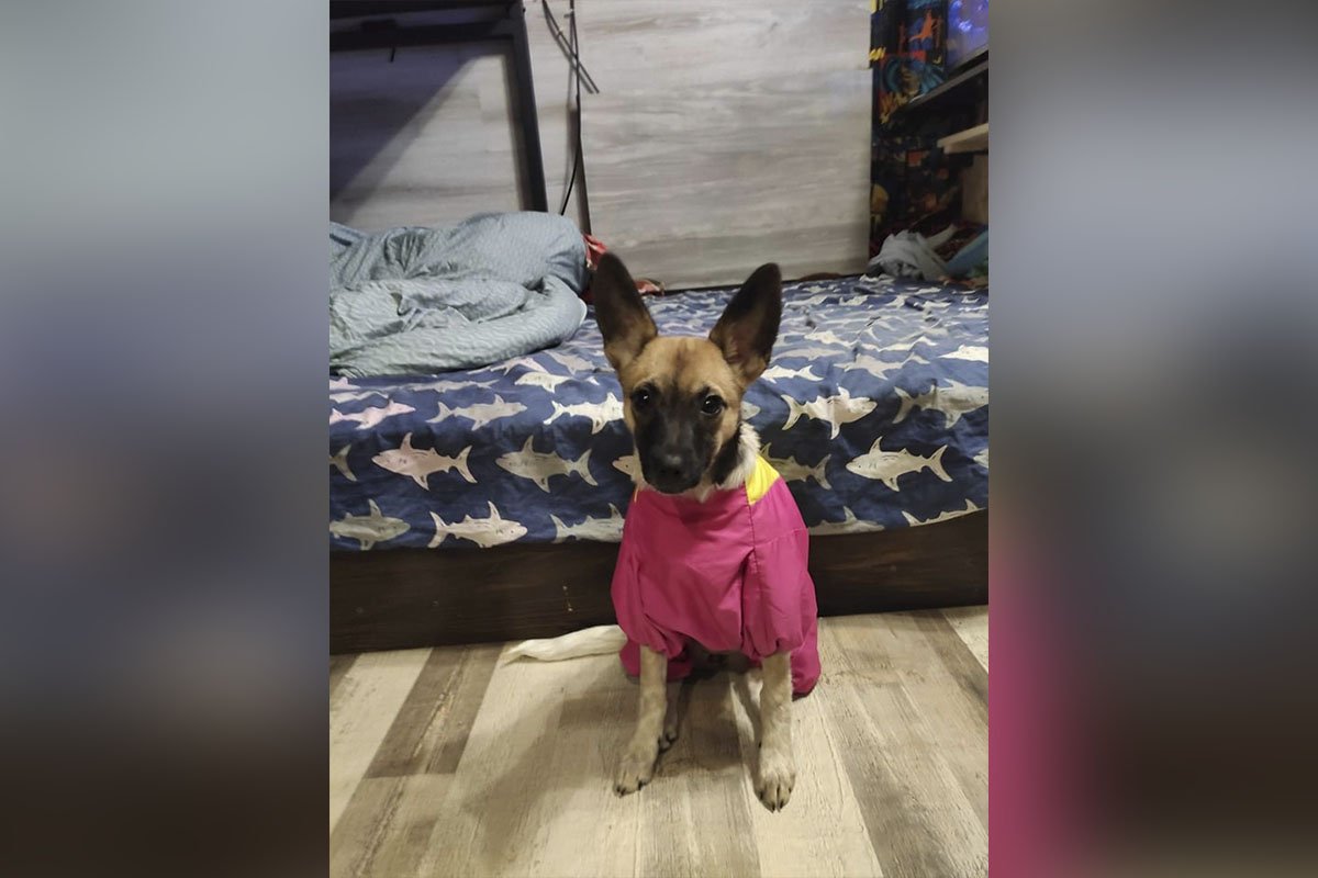 Адочка Адочка