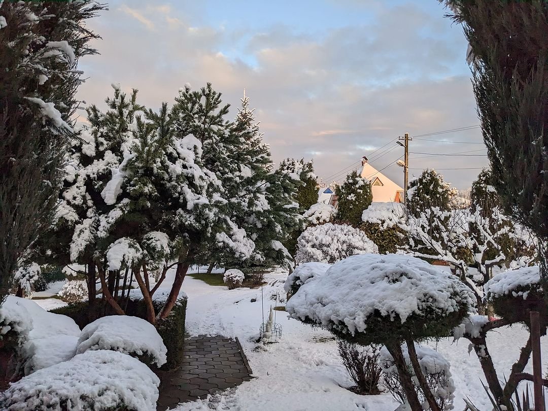 Фото: @antonbukhov Фото: @antonbukhov