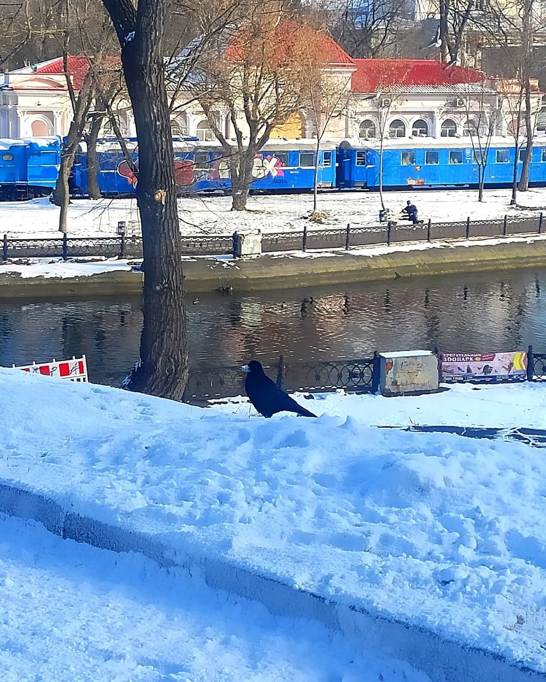 Фото: @natabelykh Фото: @natabelykh