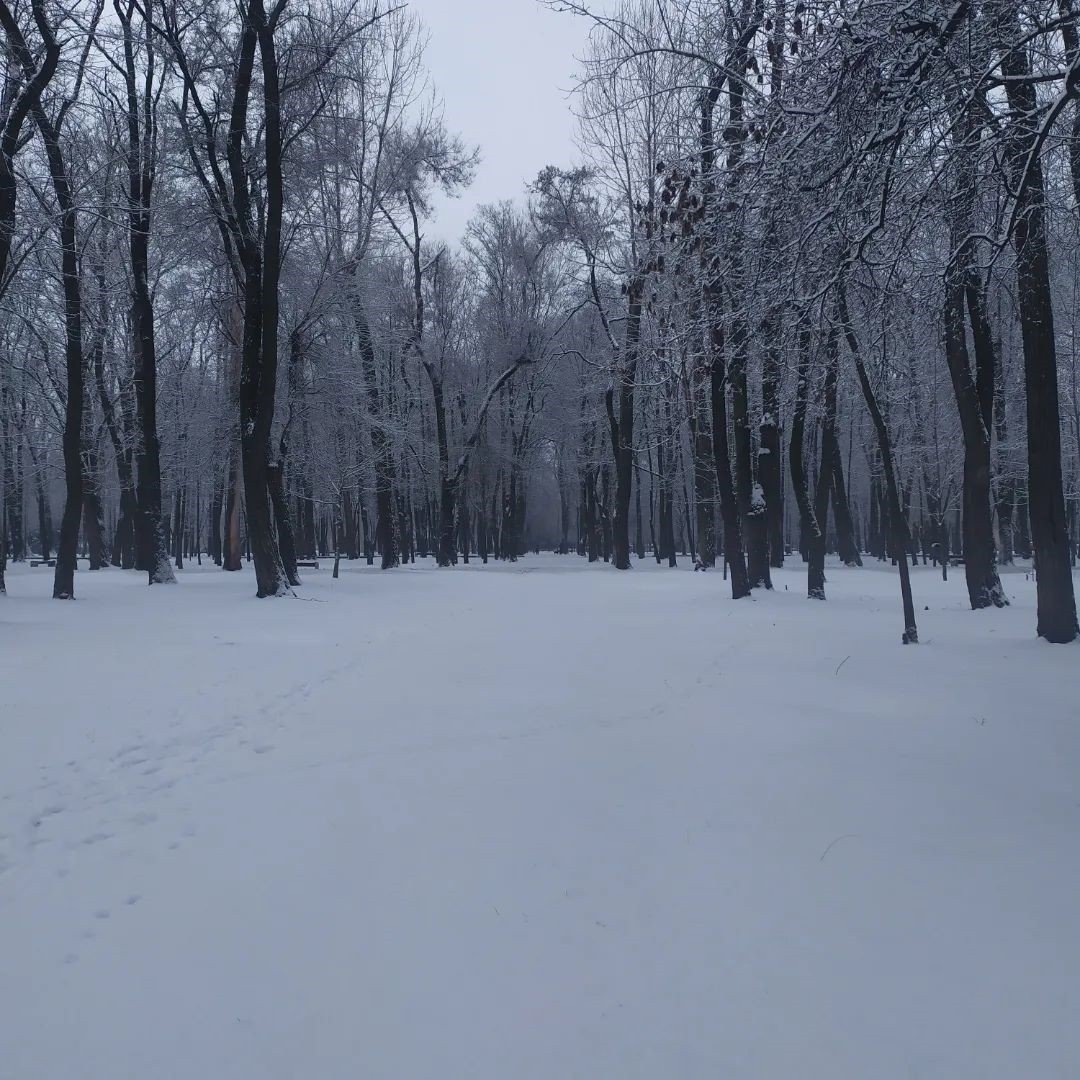 Фото: @ate_wear_hat Фото: @ate_wear_hat