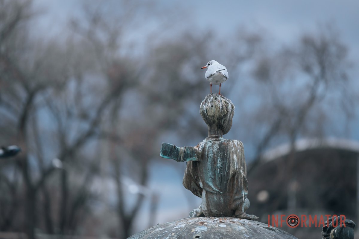 Звідки красивий погляд Звідки красивий погляд