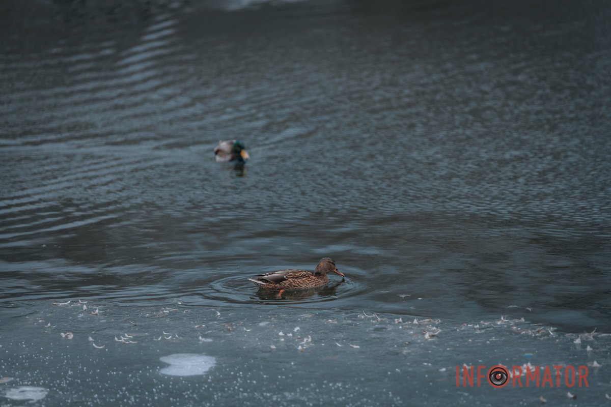 "Хей, привіт" "Хей, привіт"