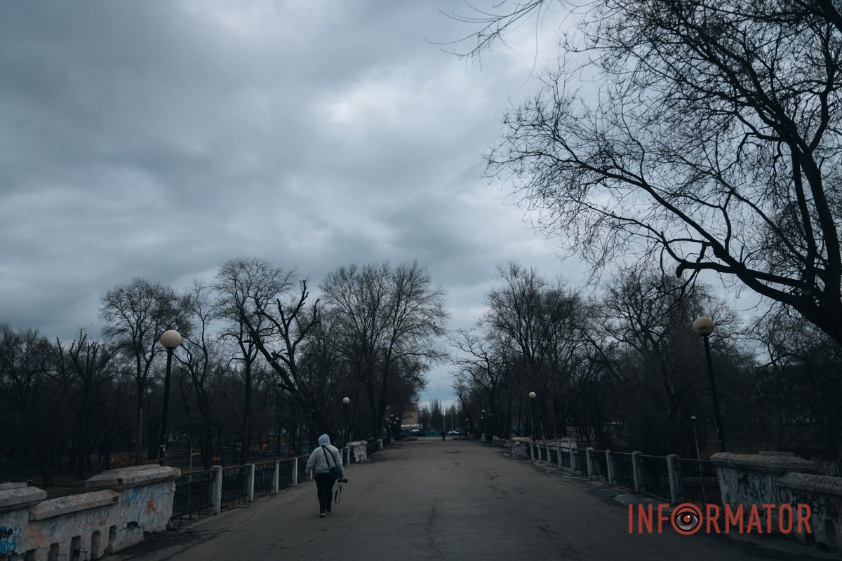 Хом'ячок Хом'ячок