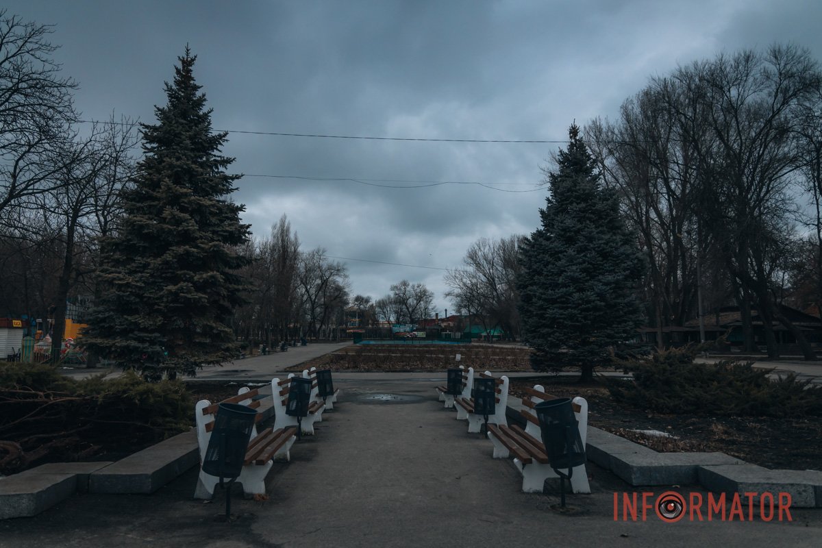 Ялинки Ялинки