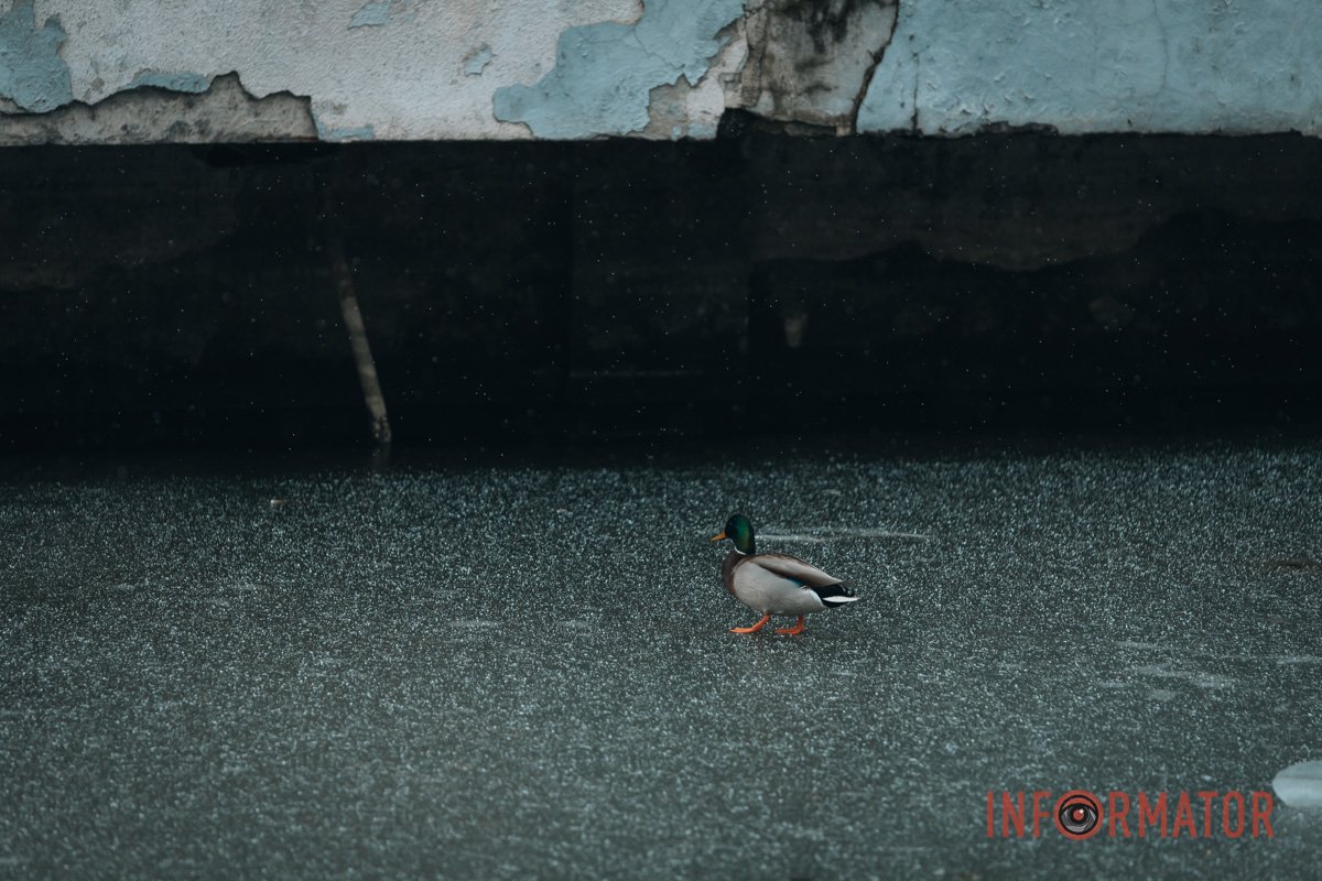 Обережно - лід Обережно - лід