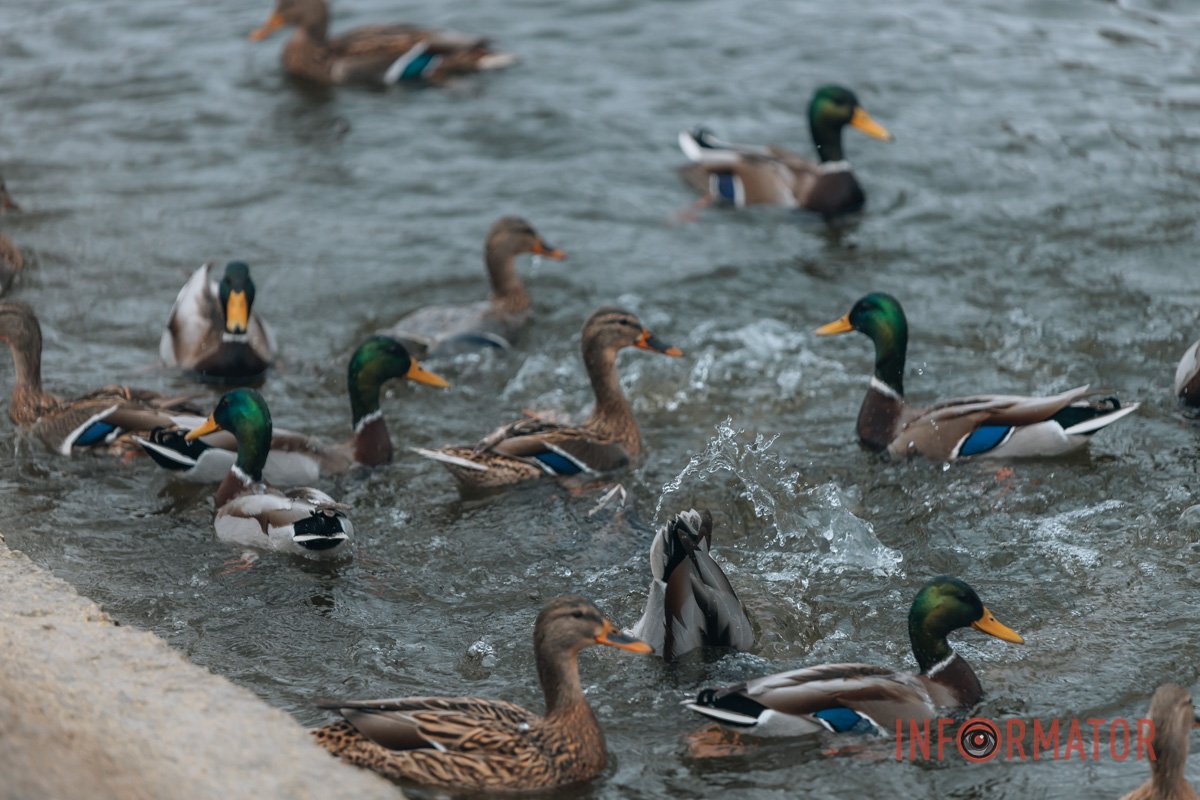 "Дитячі" забавки "Дитячі" забавки
