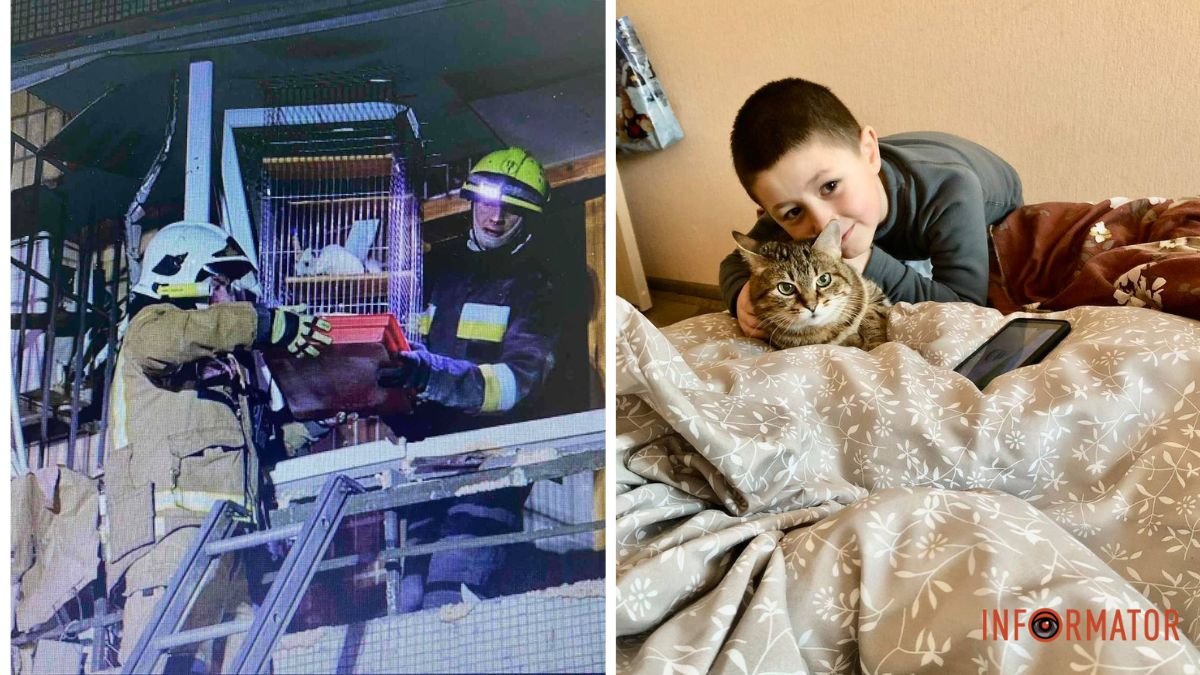 Шиншила Сьома та кішка Бася з Захарчиком