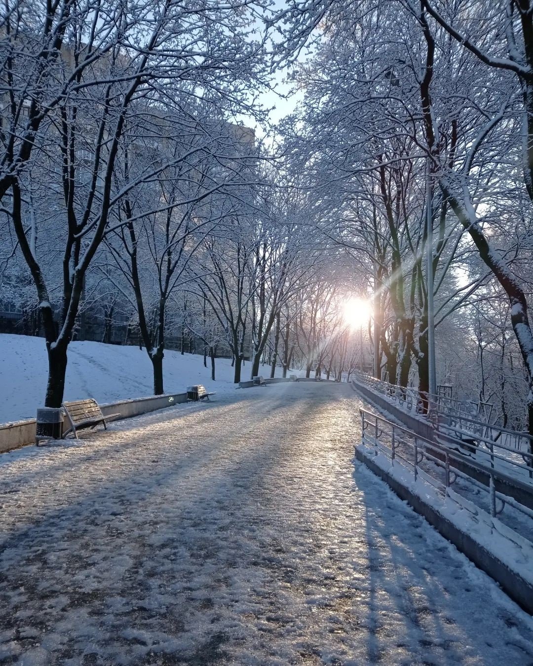 Фото: @kolibrielena