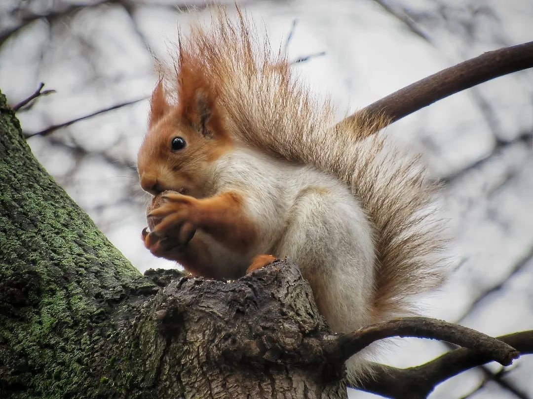 Фото: @photographer_andrey_moroz