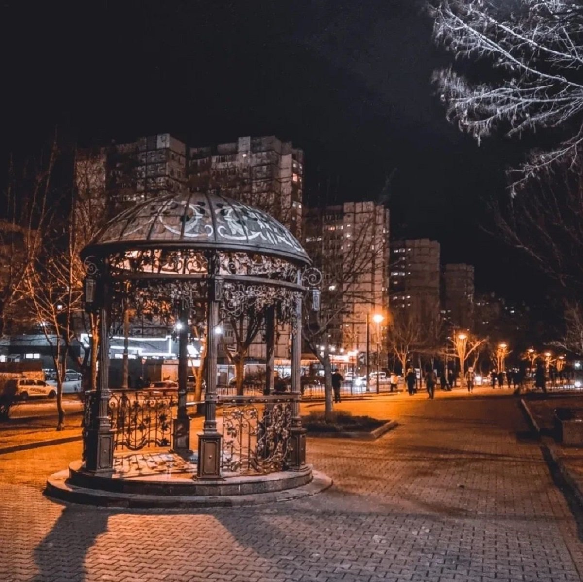 Фото: @alex_photodp