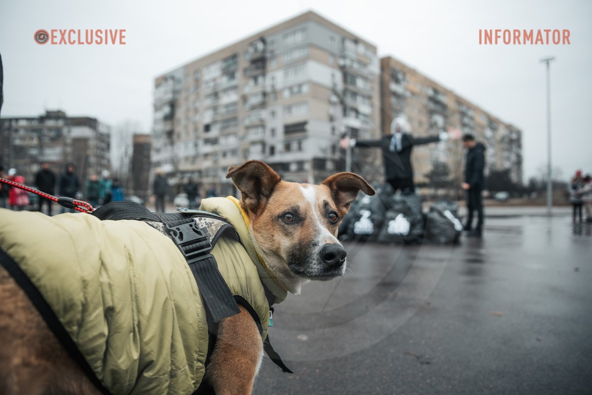 Пес, будеш майонез? Пес, будеш майонез?