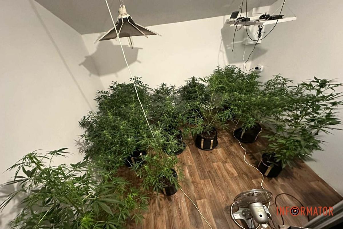 Затримали 10 людей - відокремлений підрозділ спільноти «Двадцятівські»