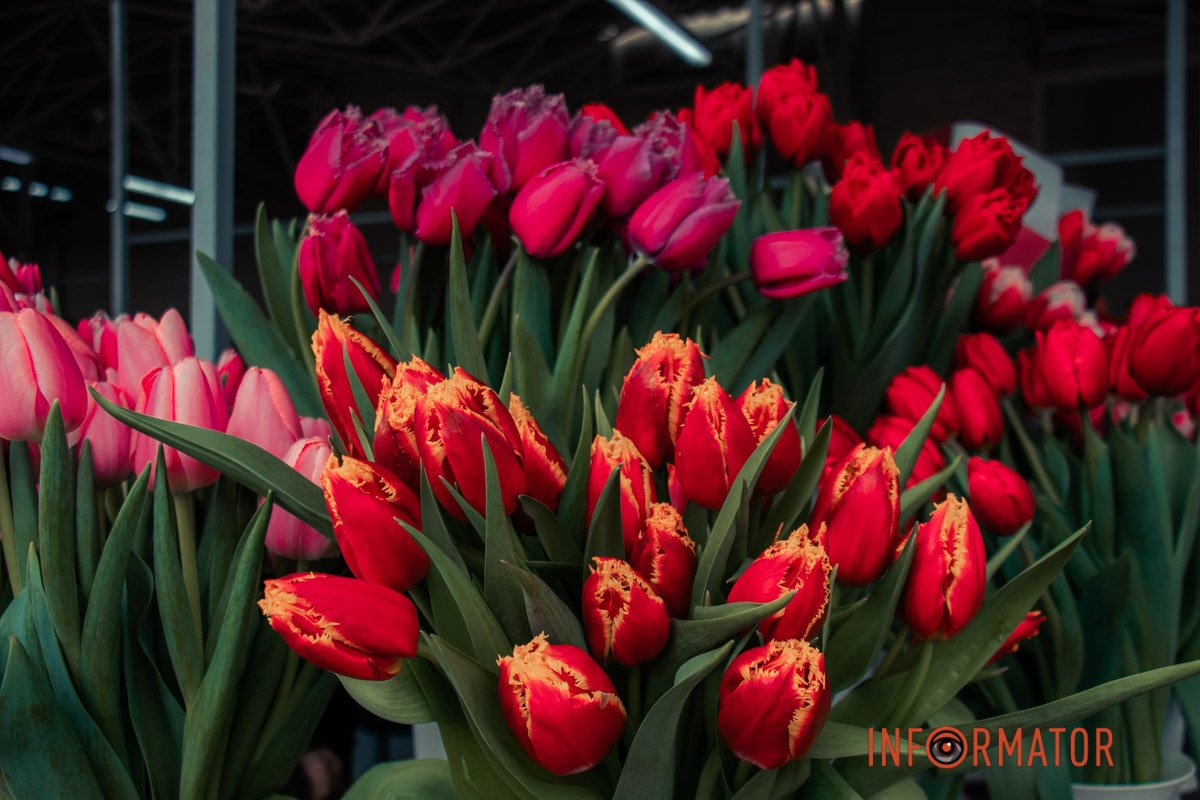 Гарно, правда?