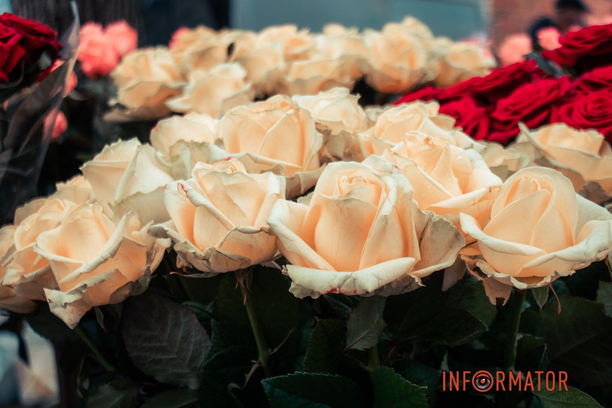 А вам які більше подобаються?