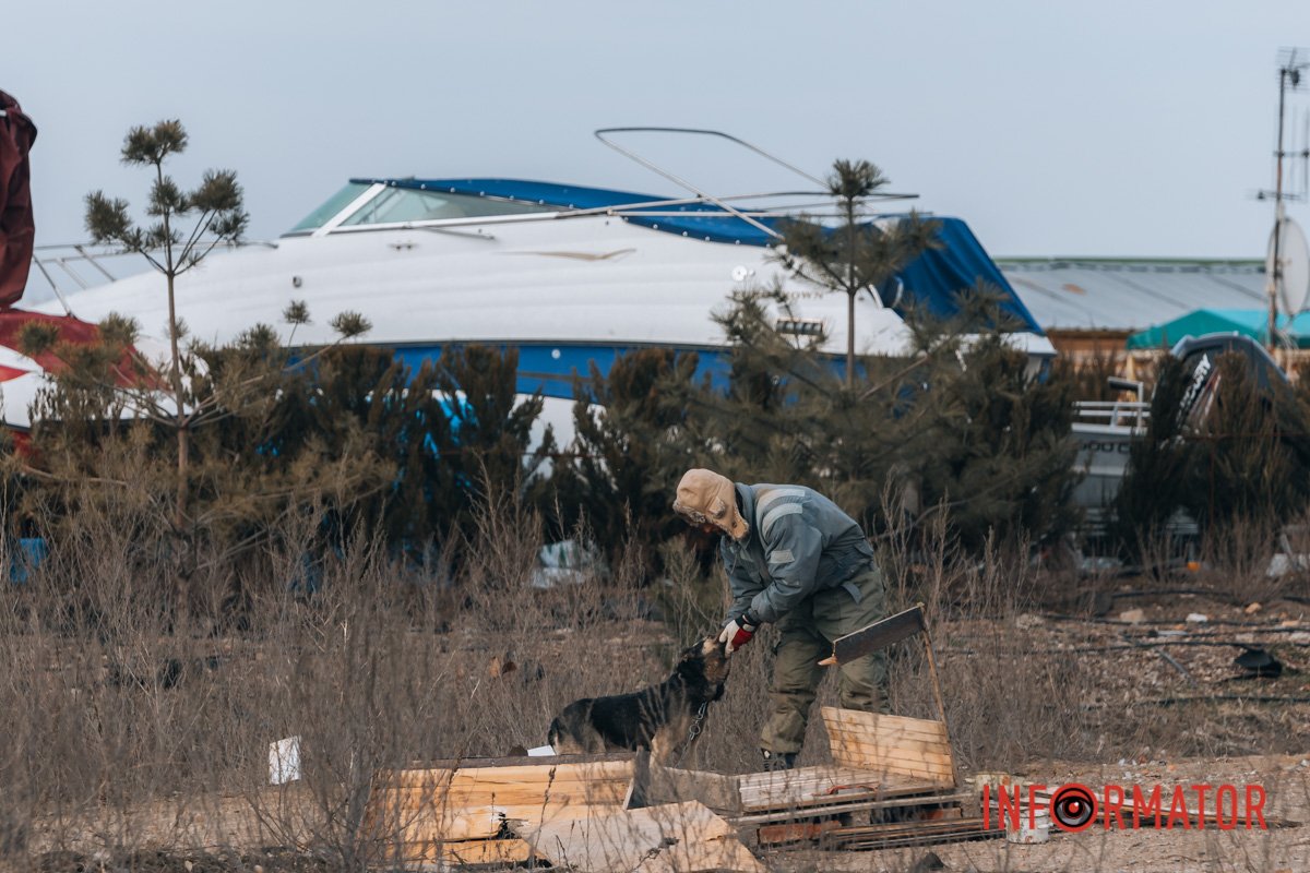 Знесло п’ять собачих будок, тваринки не постраждали Знесло п’ять собачих будок, тваринки не постраждали