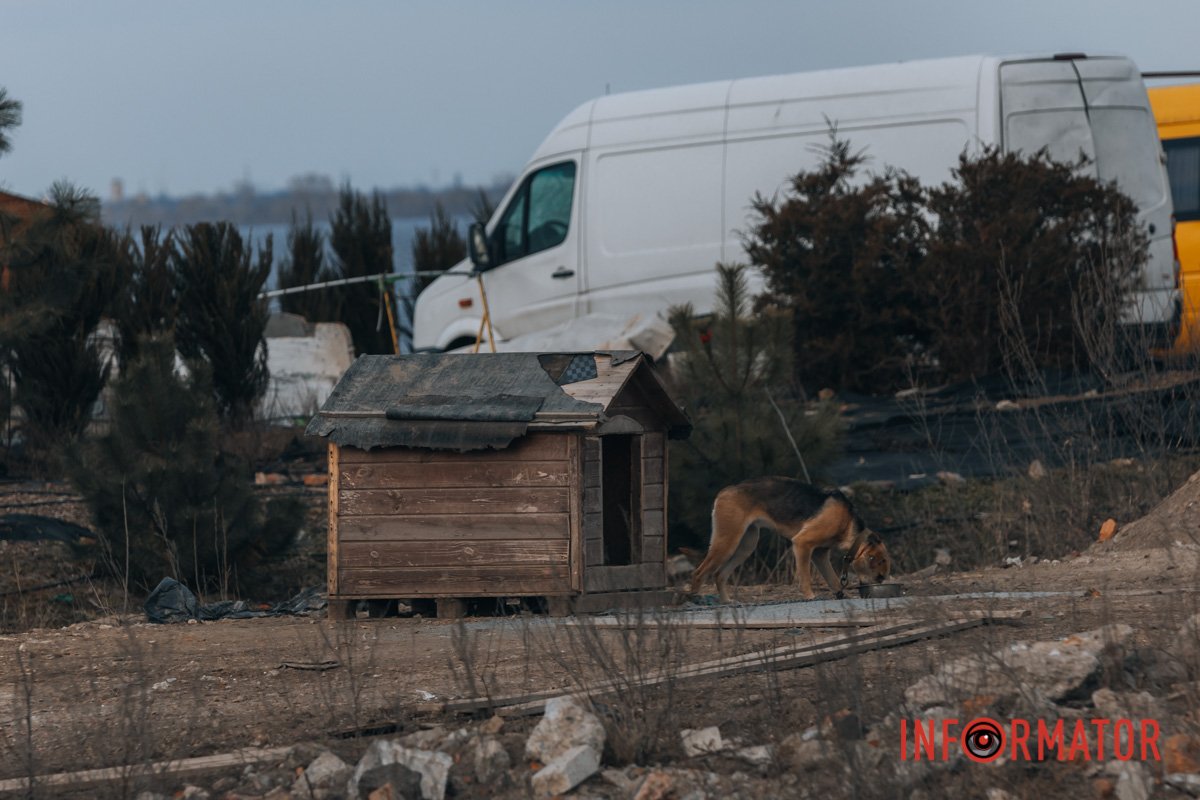 Будиночки для песиків відбудували Будиночки для песиків відбудували