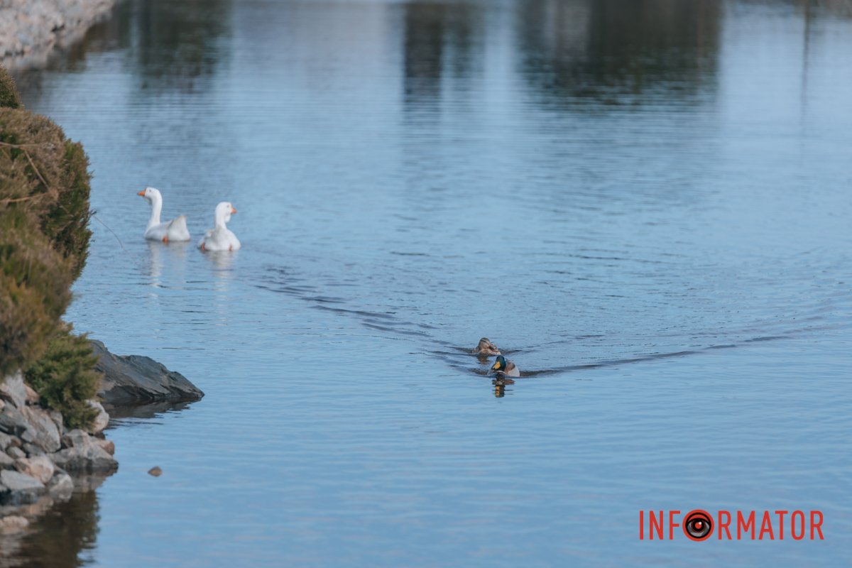 Розминулися