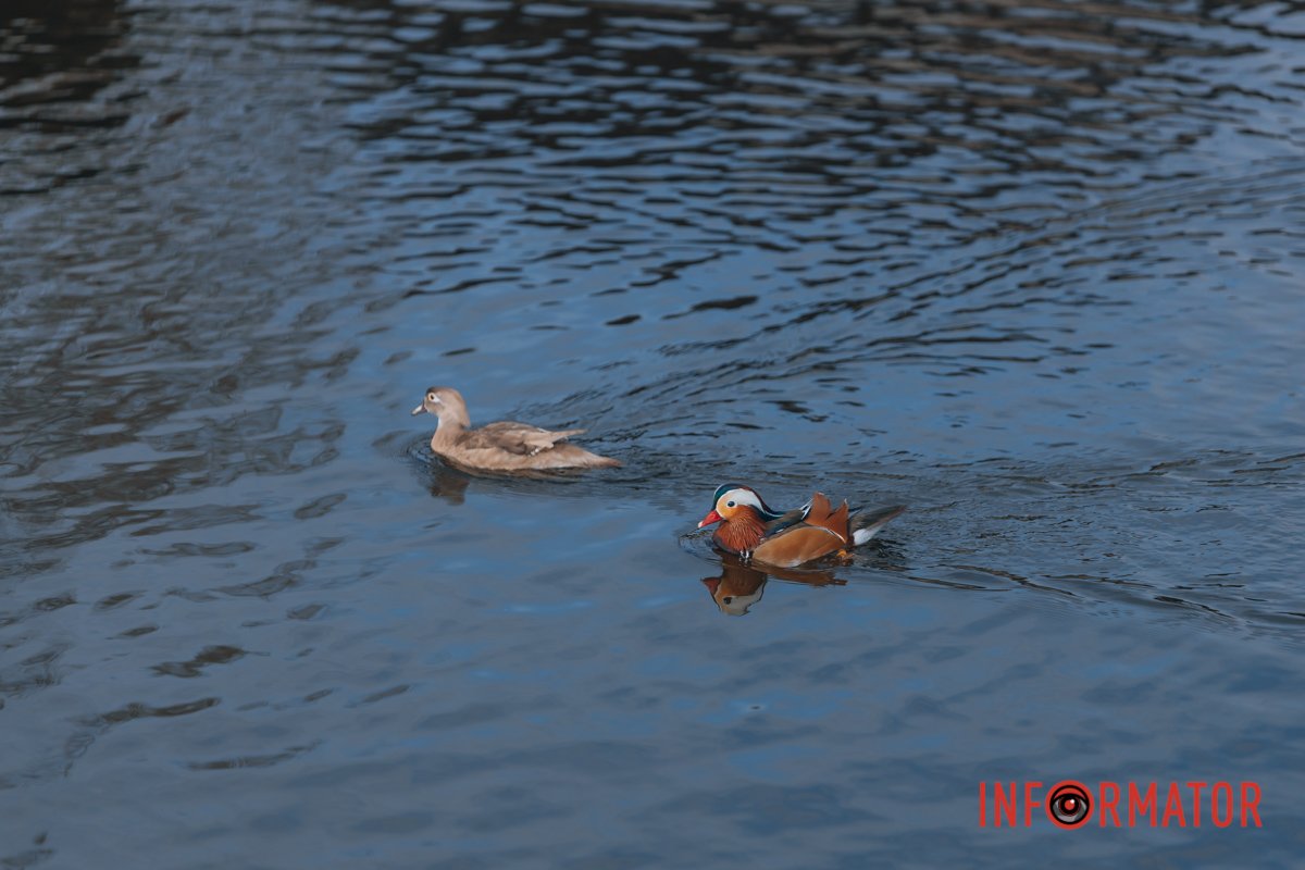 Зі справами закінчили, пливуть пити кофе 