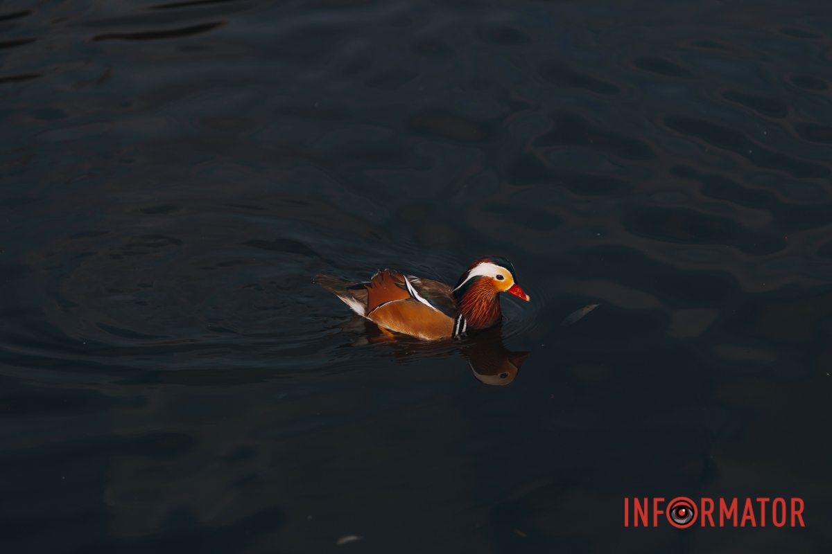 Можна й додому