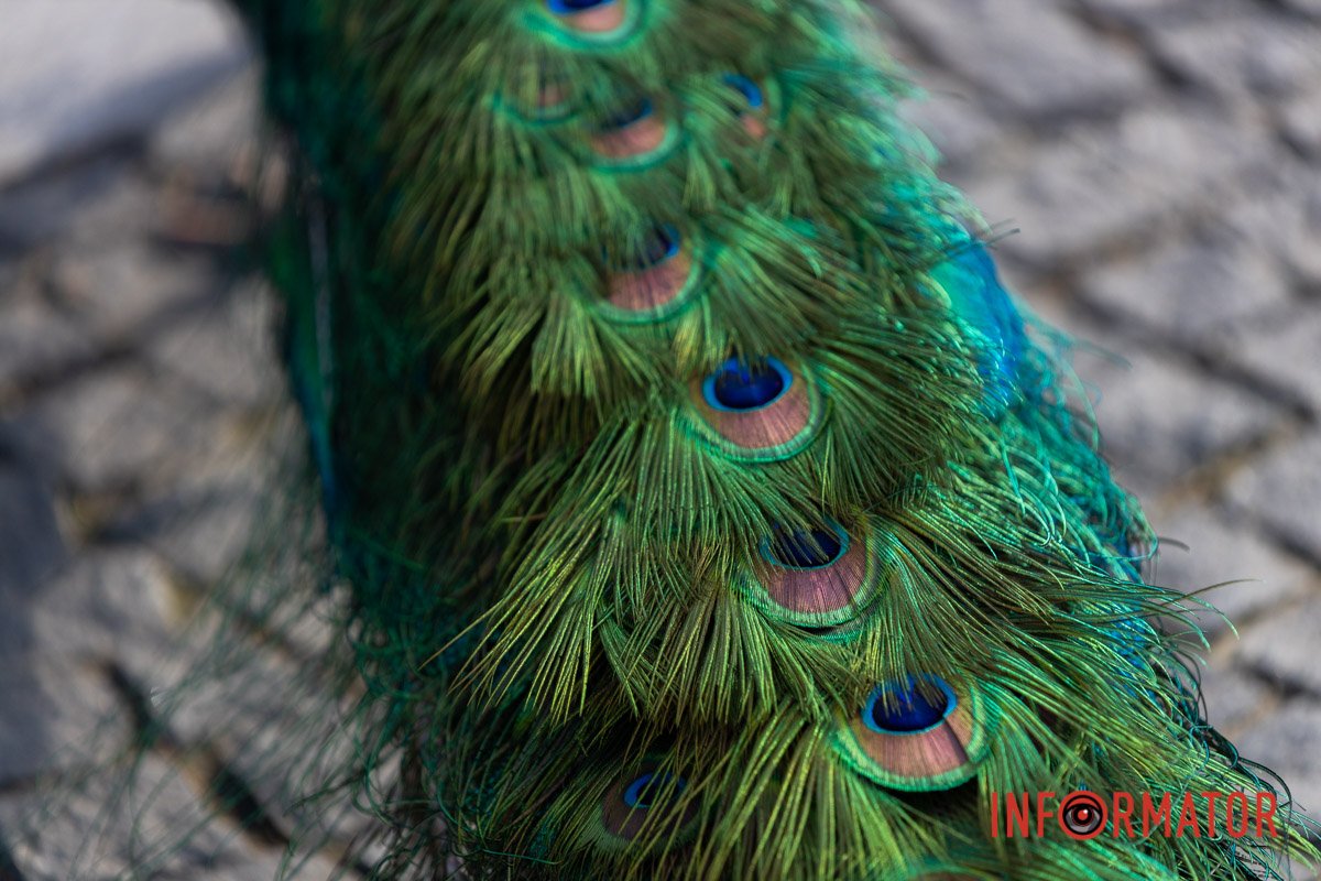 А як кольори переливаються