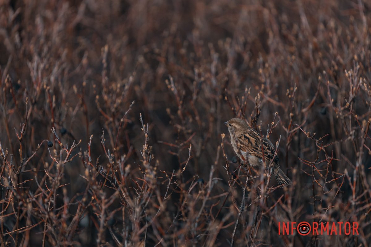 Щось побачили?