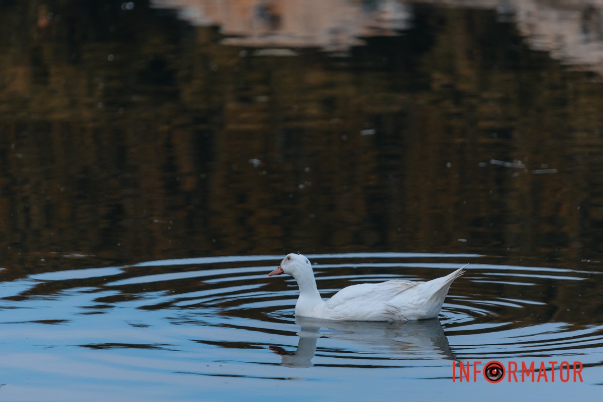 Велика ванна 