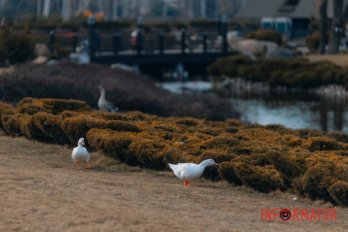 Не сховаєтесь 