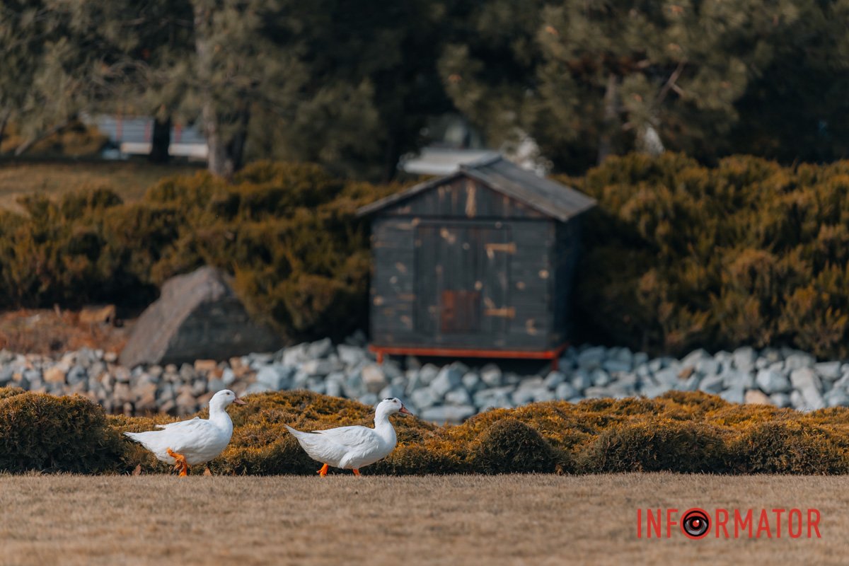 В об'єктиві