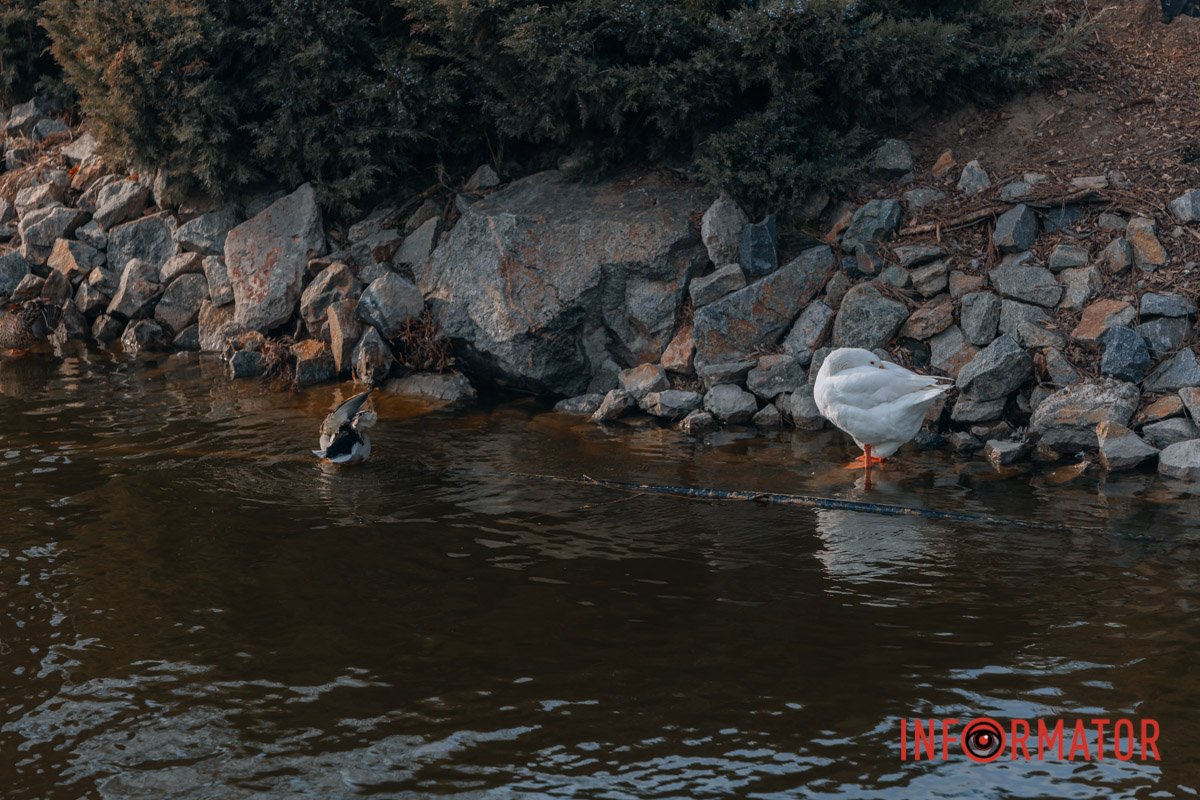 Водні процедури