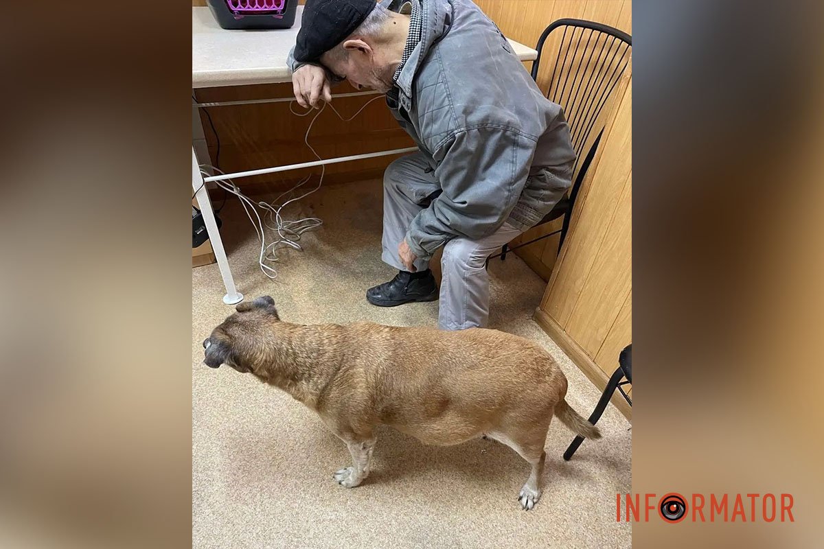 Собака Собака