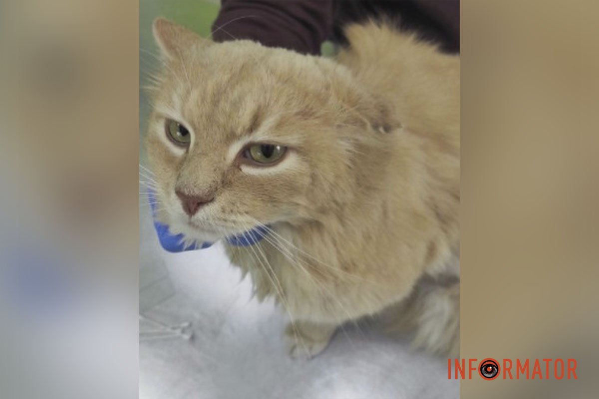 Марік Марік