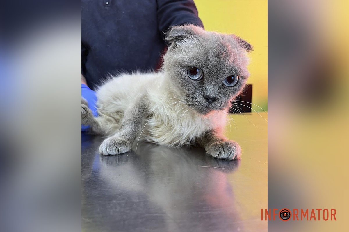 Лакшері Лакшері