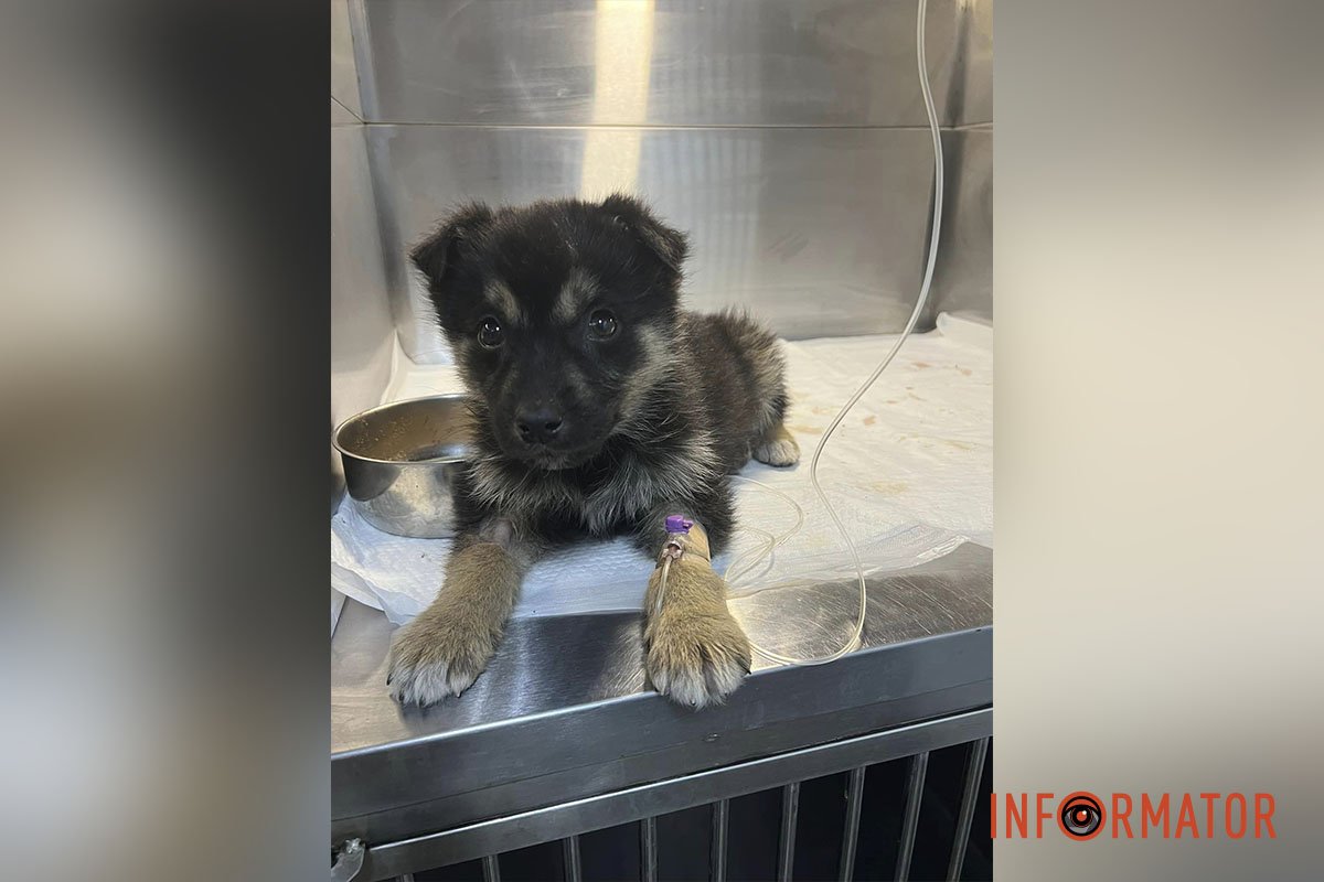 Міроша Міроша