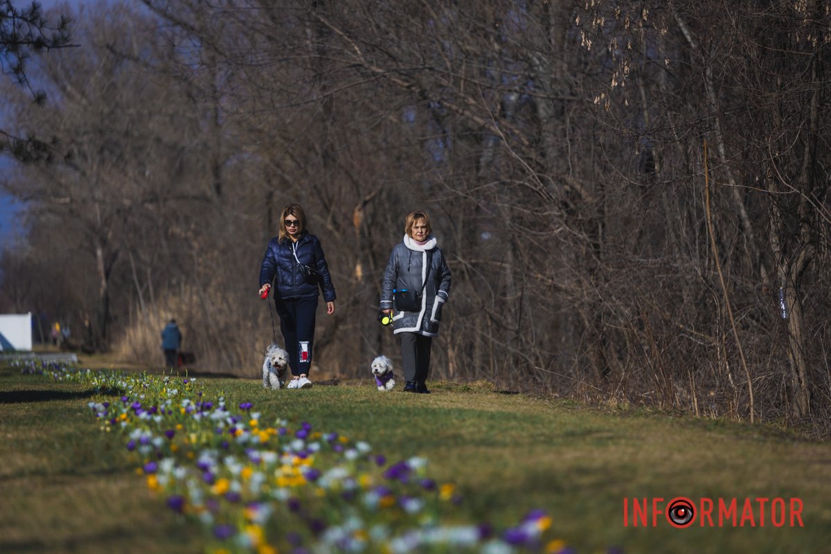 Весняна прогулянка з улюбленцями Весняна прогулянка з улюбленцями