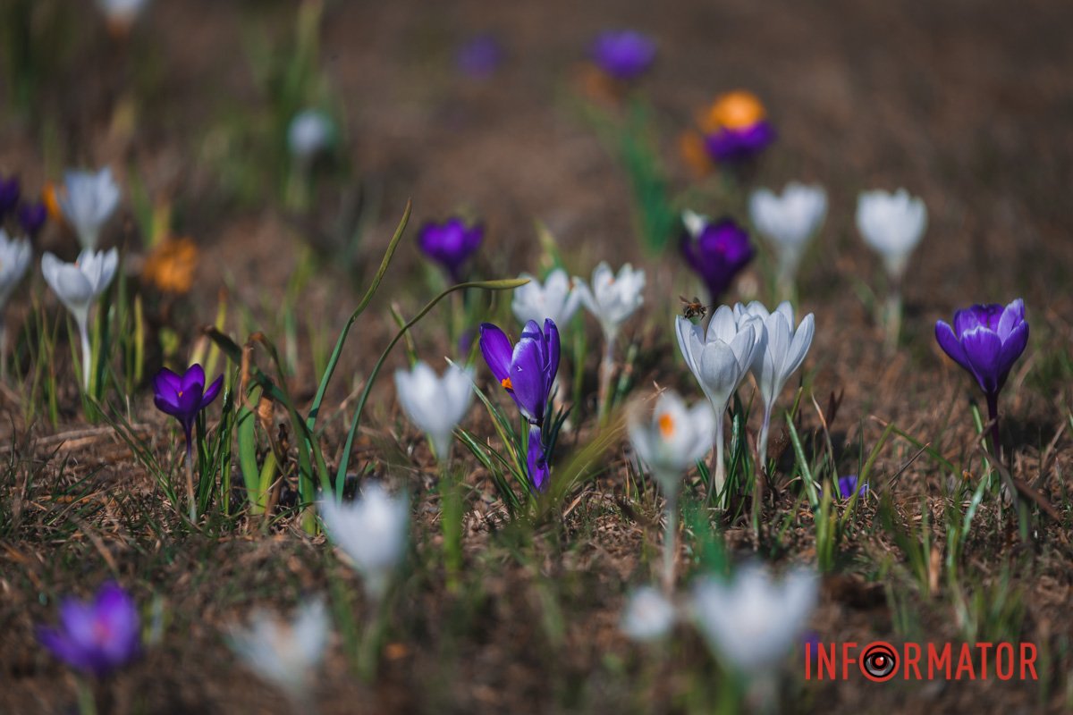 Чарівна пора року Чарівна пора року